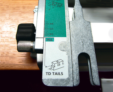 Scale-TD Tails-015 RT crp website